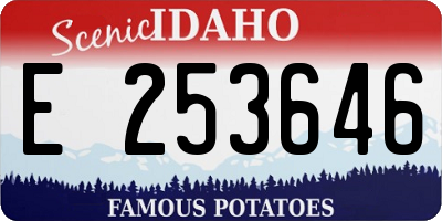 ID license plate E253646