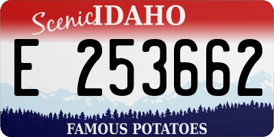 ID license plate E253662