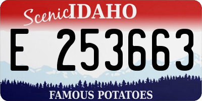 ID license plate E253663