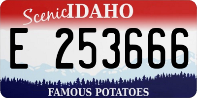 ID license plate E253666