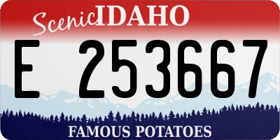 ID license plate E253667