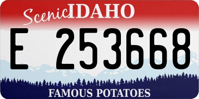 ID license plate E253668