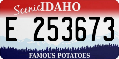 ID license plate E253673
