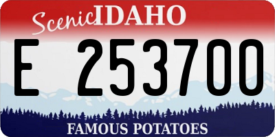 ID license plate E253700