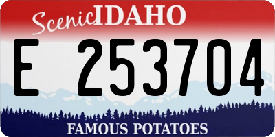 ID license plate E253704