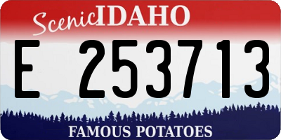 ID license plate E253713