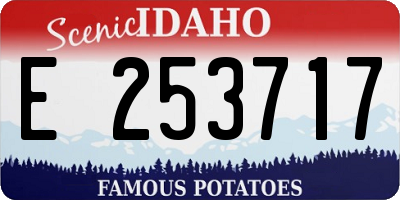 ID license plate E253717