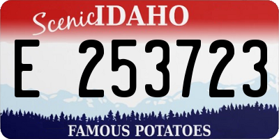 ID license plate E253723