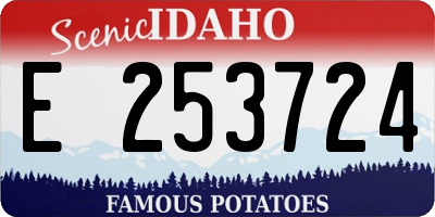 ID license plate E253724