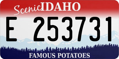 ID license plate E253731