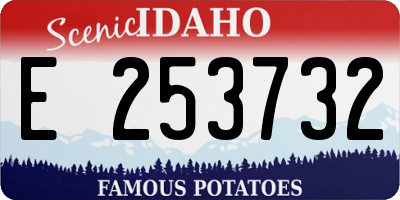 ID license plate E253732