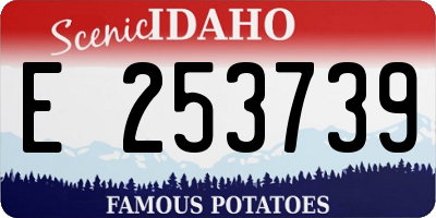 ID license plate E253739