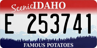 ID license plate E253741