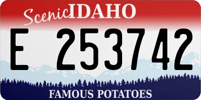 ID license plate E253742