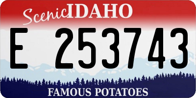 ID license plate E253743