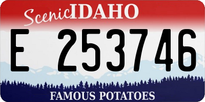 ID license plate E253746