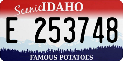 ID license plate E253748