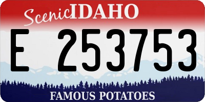 ID license plate E253753