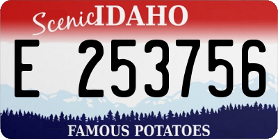 ID license plate E253756