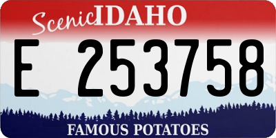 ID license plate E253758