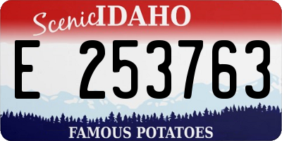 ID license plate E253763