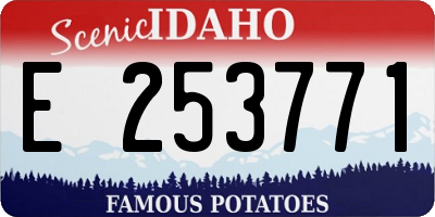 ID license plate E253771