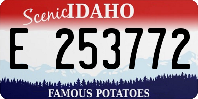 ID license plate E253772