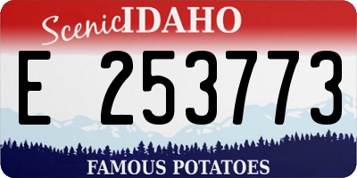 ID license plate E253773