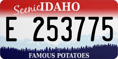 ID license plate E253775