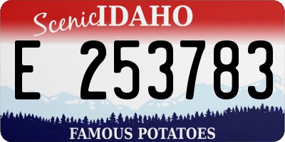 ID license plate E253783
