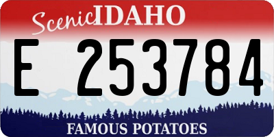 ID license plate E253784