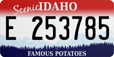 ID license plate E253785