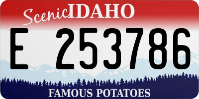 ID license plate E253786