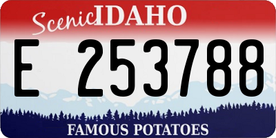 ID license plate E253788