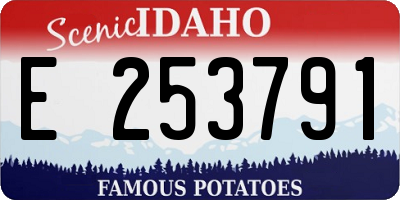 ID license plate E253791