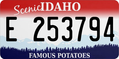 ID license plate E253794