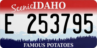 ID license plate E253795