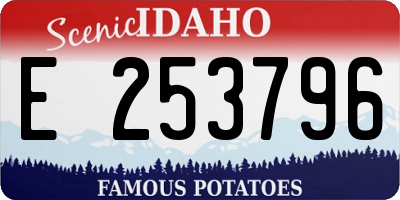 ID license plate E253796