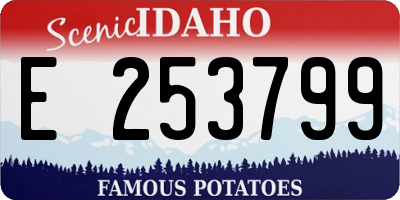 ID license plate E253799