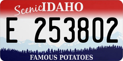 ID license plate E253802