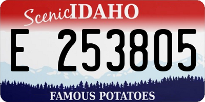 ID license plate E253805
