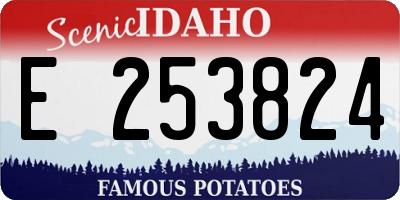ID license plate E253824