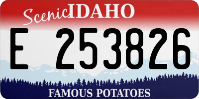 ID license plate E253826