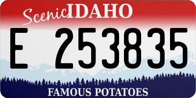 ID license plate E253835