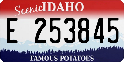 ID license plate E253845