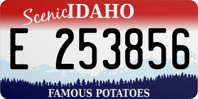 ID license plate E253856