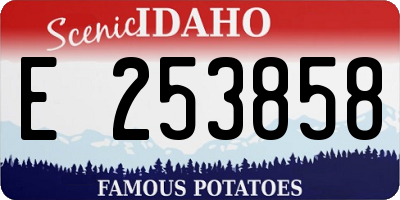 ID license plate E253858