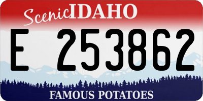 ID license plate E253862