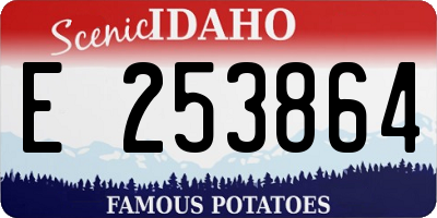 ID license plate E253864