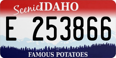 ID license plate E253866